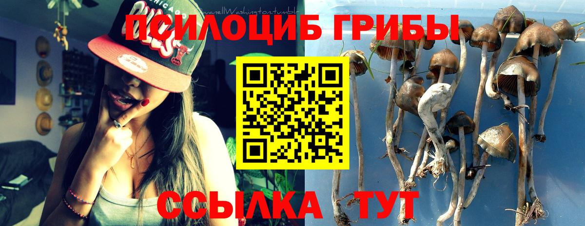 Строитель  Галлюциногенные грибы прущие грибы  Вход с VPN 