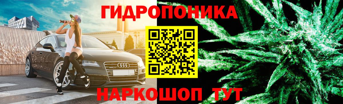 Строитель  Канабис семена  Вход с VPN  Каннабис Amnesia  Марихуана OG Kush 